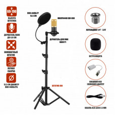 Конденсаторный микрофон BM800 с USB адаптером, кабелем XLR - Jack 3.5 мм, ветрозащитой на напольной стойке с держателем паук и поп-фильтром, черно-золотой