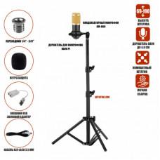 Конденсаторный микрофон BM800 с USB адаптером, кабелем XLR - Jack 3.5 мм и ветрозащитой на напольной стойке с держателем паук, черно-золотой